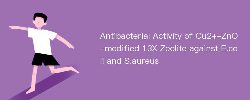 Antibacterial Activity of Cu2+-ZnO-modified 13X Zeolite against E.coli and S.aureus