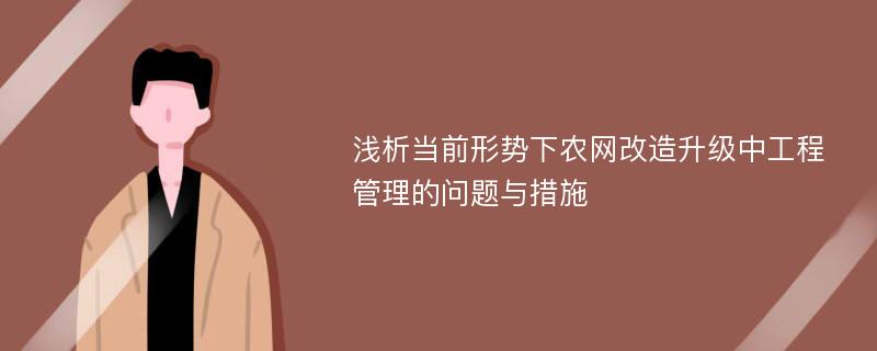 浅析当前形势下农网改造升级中工程管理的问题与措施