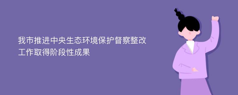 我市推进中央生态环境保护督察整改工作取得阶段性成果