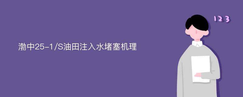 渤中25-1/S油田注入水堵塞机理