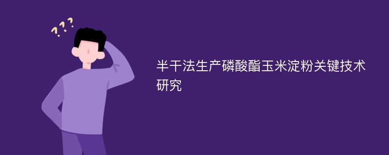 半干法生产磷酸酯玉米淀粉关键技术研究