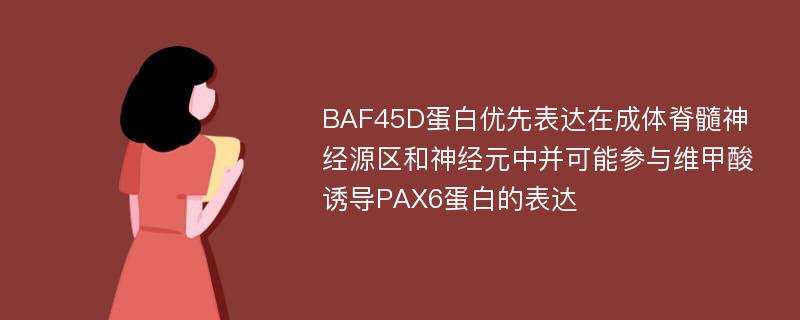 BAF45D蛋白优先表达在成体脊髓神经源区和神经元中并可能参与维甲酸诱导PAX6蛋白的表达