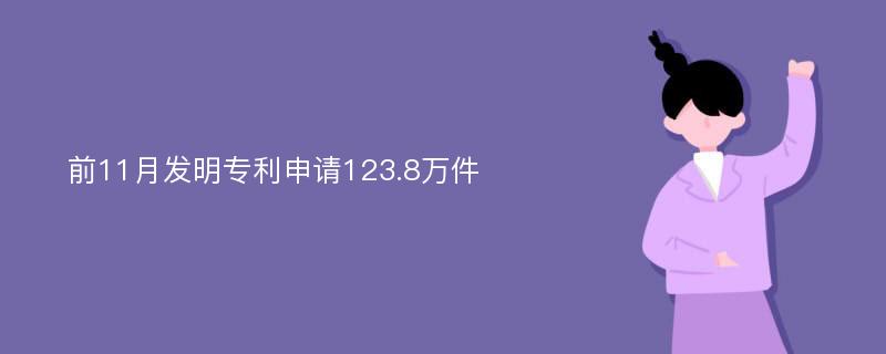 前11月发明专利申请123.8万件