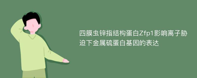 四膜虫锌指结构蛋白Zfp1影响离子胁迫下金属硫蛋白基因的表达