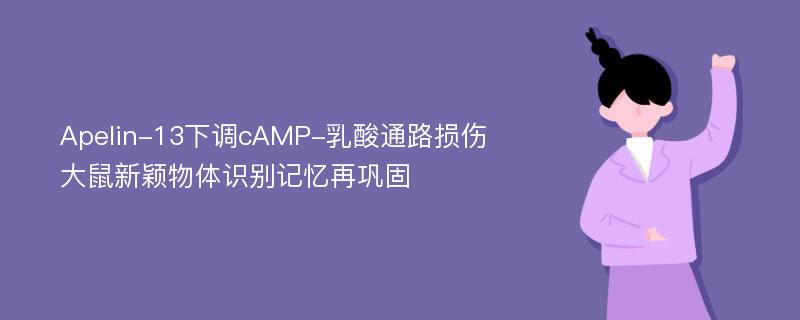 Apelin-13下调cAMP-乳酸通路损伤大鼠新颖物体识别记忆再巩固