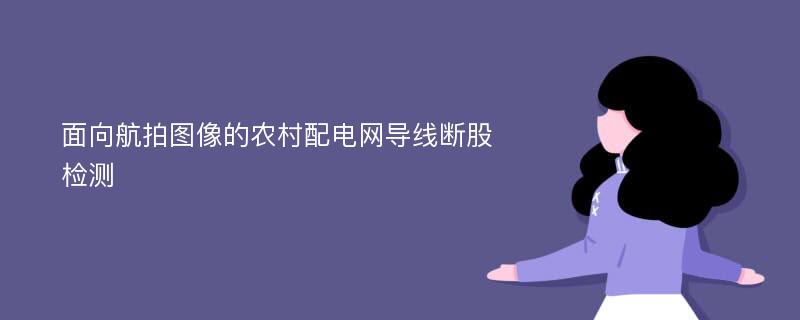 面向航拍图像的农村配电网导线断股检测