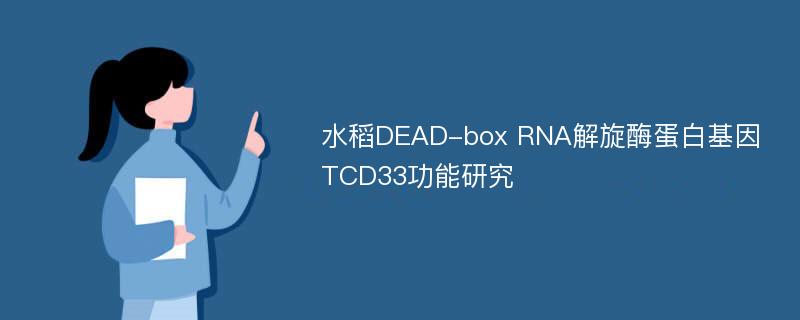 水稻DEAD-box RNA解旋酶蛋白基因TCD33功能研究