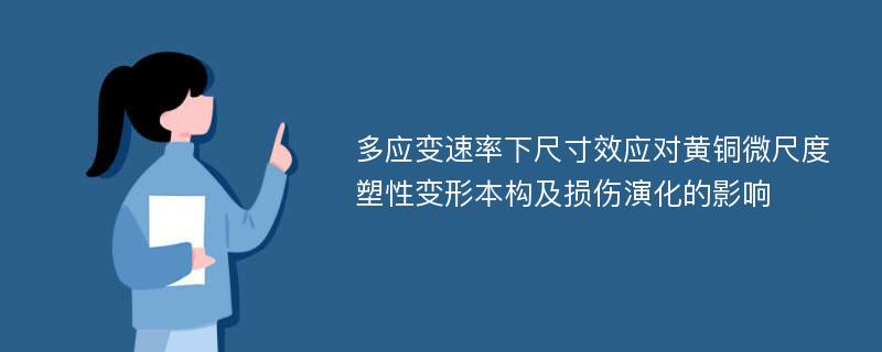 多应变速率下尺寸效应对黄铜微尺度塑性变形本构及损伤演化的影响