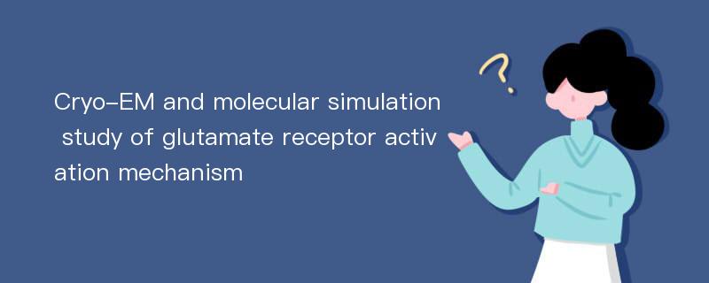 Cryo-EM and molecular simulation study of glutamate receptor activation mechanism