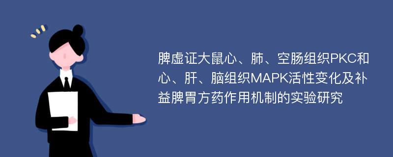 脾虚证大鼠心、肺、空肠组织PKC和心、肝、脑组织MAPK活性变化及补益脾胃方药作用机制的实验研究