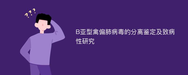 B亚型禽偏肺病毒的分离鉴定及致病性研究