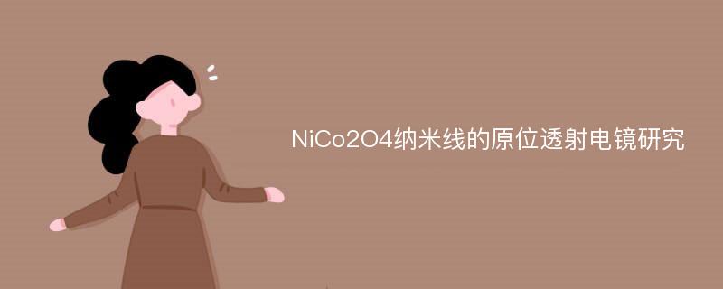 NiCo2O4纳米线的原位透射电镜研究