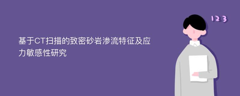 基于CT扫描的致密砂岩渗流特征及应力敏感性研究