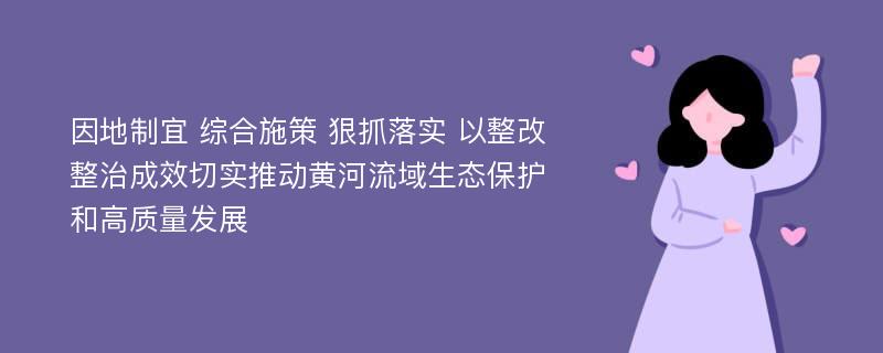 因地制宜 综合施策 狠抓落实 以整改整治成效切实推动黄河流域生态保护和高质量发展