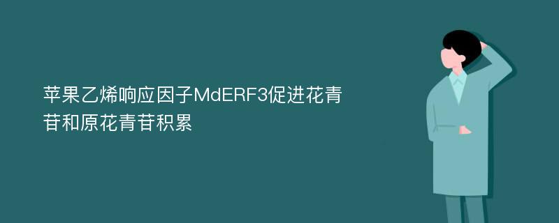 苹果乙烯响应因子MdERF3促进花青苷和原花青苷积累