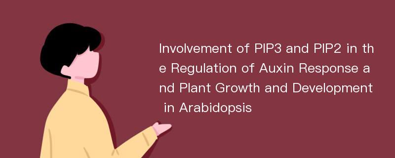 Involvement of PIP3 and PIP2 in the Regulation of Auxin Response and Plant Growth and Development in Arabidopsis