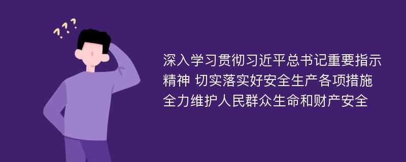 深入学习贯彻习近平总书记重要指示精神 切实落实好安全生产各项措施 全力维护人民群众生命和财产安全