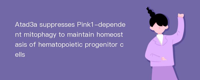 Atad3a suppresses Pink1-dependent mitophagy to maintain homeostasis of hematopoietic progenitor cells