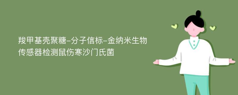 羧甲基壳聚糖-分子信标-金纳米生物传感器检测鼠伤寒沙门氏菌