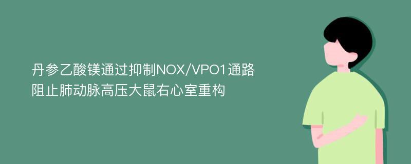 丹参乙酸镁通过抑制NOX/VPO1通路阻止肺动脉高压大鼠右心室重构